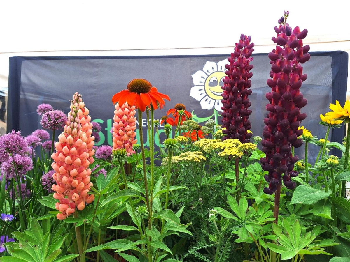 Besøg hos GASA Group Nature to the people i&nbsp;Odense