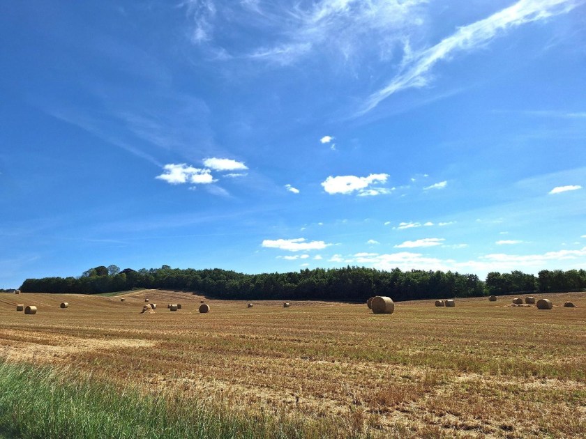 Halmballer på mark