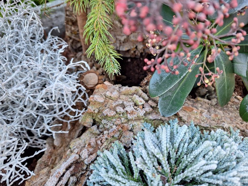 Grene af korkelm i krukken