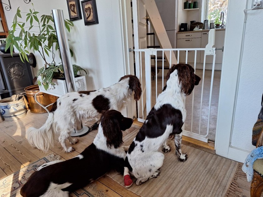 Gitterlåge mellem stue og køkken