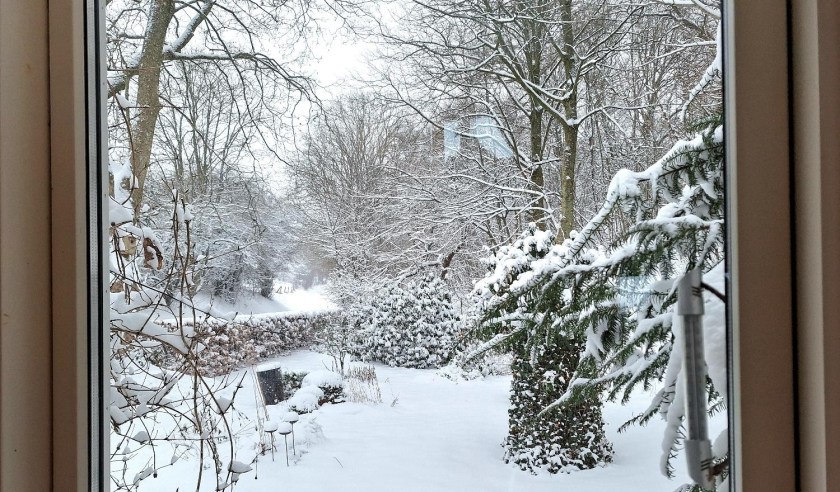 Sne set fra køkkenvinduet