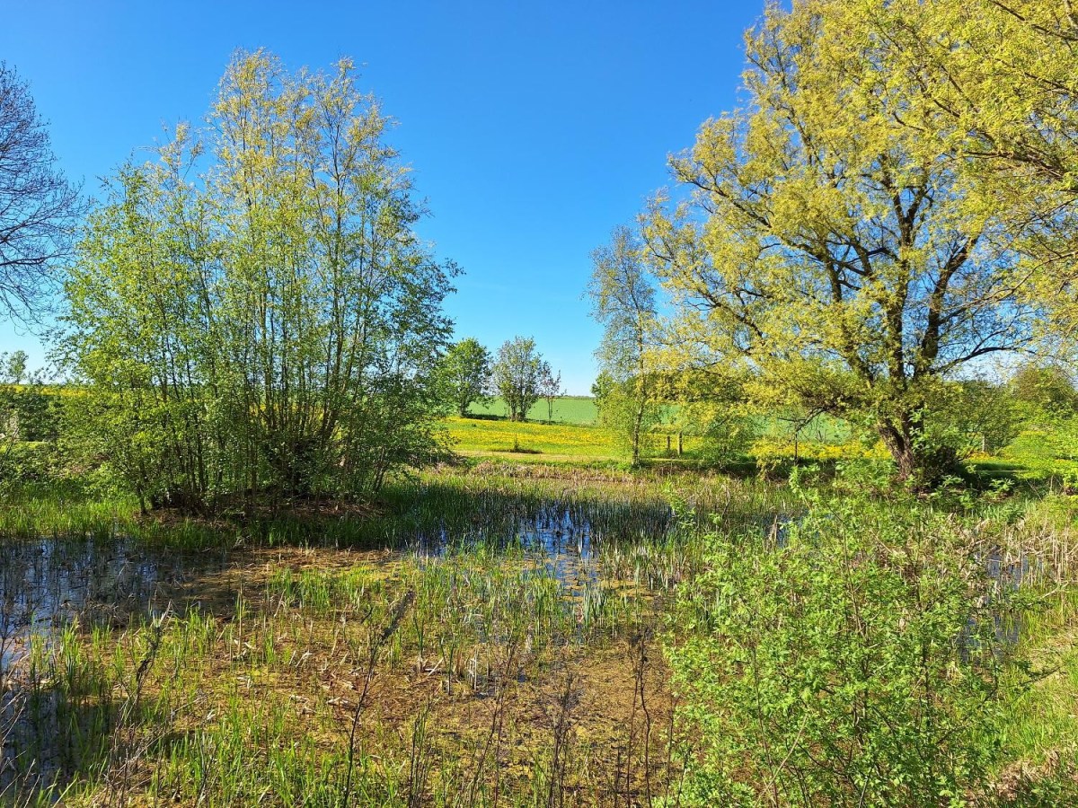 Branddammen ved kirken