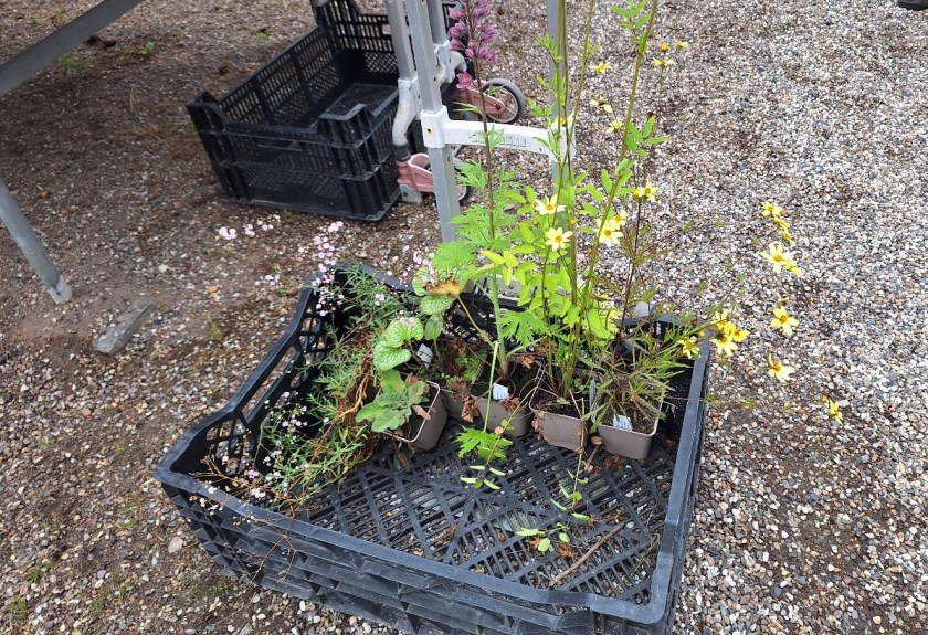 Vogn med planter