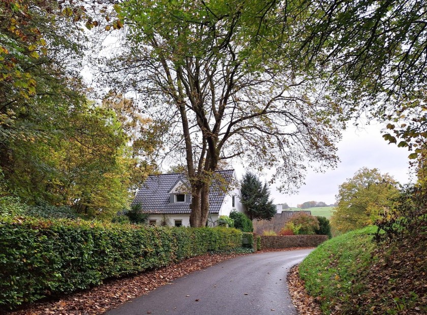 Det lille hvide hus ved vejen